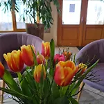 Sunny-hill Fruehstueckshotel - Loipersdorf Loipersdorf bei Fuerstenfeld