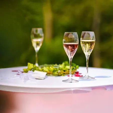 Sunny-hill Frühstückshotel - Dreilandhof Hotel 3*