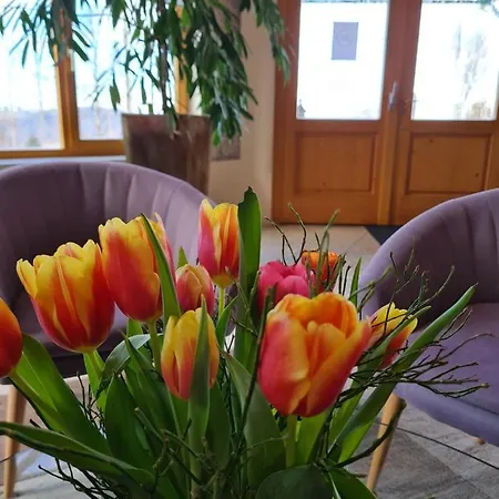 Sunny-hill Frühstückshotel - Dreilandhof Fürstenfeld