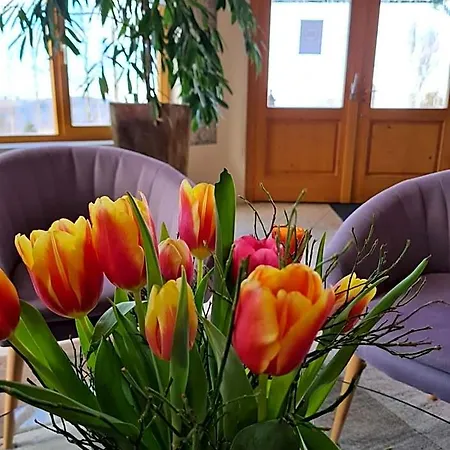Sunny-hill Frühstückshotel - Dreilandhof 3* Fürstenfeld