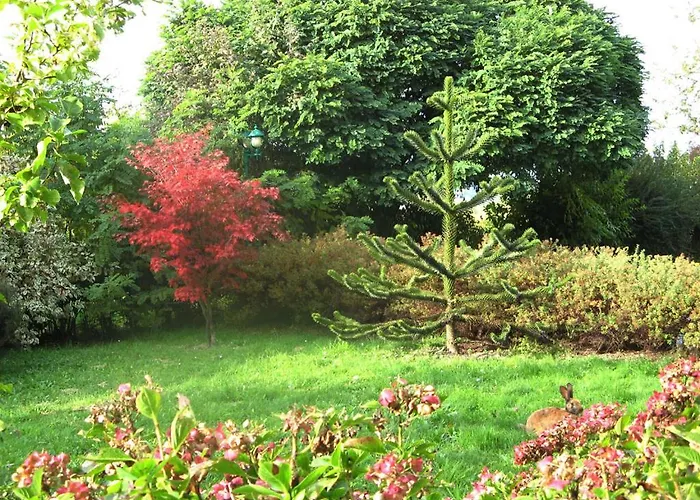 Hotel Sunny-hill Frühstückshotel - Dreilandhof