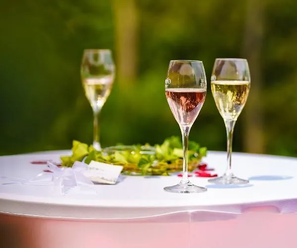 Sunny-hill Fruehstueckshotel - Dreilandhof 酒店 3*