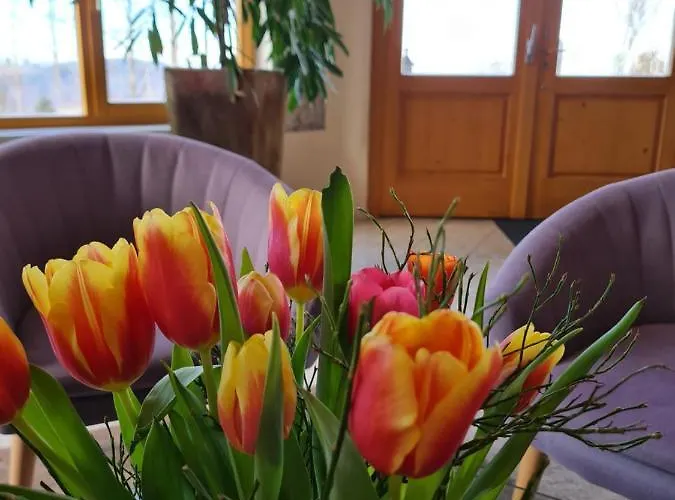 Sunny-hill Fruehstueckshotel - Dreilandhof Fürstenfeld